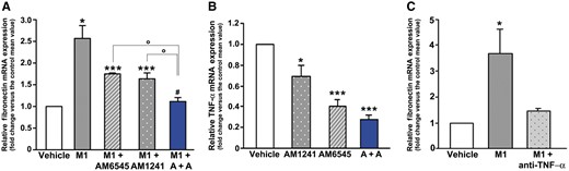 CB1R blockade and CB2R activation affected the pro-fibrotic phenotype of M1 macrophages. (A) Mesangial cells were exposed for 48 h to CM from M1 macrophages pre-exposed for 24 h to vehicle (CM), AM6545 (CMAM6545), AM1241 (CMAM1241) or both (CMA+A), then fibronectin mRNA levels were measured by real-time PCR. *P < 0.05, M1, M1-AM6545, M1-AM1241 versus vehicle; **P < 0.05, M1-AM6545, M1-AM1241 versus M1; ***P < 0.05, M1-A + A versus M1-AM6545 and M1-AM1241. (B) Total RNA was extracted from M1 macrophages and TNF-α mRNA levels measured by real-time PCR. *P < 0.05, AM1241, AM6545, A + A versus vehicle; ***P < 0.05, AM6545 and A + A versus AM1241. (C) Fibronectin mRNA expression in mesangial cells incubated with CM from M1 macrophages in the presence and in the absence of a neutralizing TNF-α antibody. *P < 0.05, M1 versus others.