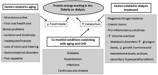 Common factors related to aging and to dialysis treatment, leading to protein energy wasting.