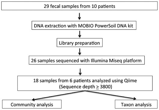 Processing of fecal samples. Of 29 fecal samples that were subject to DNA extraction and downstream processing, we studied only complete sample sets. In total, 18 samples from six subjects were analyzed using QIIME pathways and analytic tool.