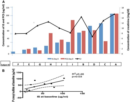 IS, PCS and serum creatinine. (A) Ten subjects are ranked in order of increasing baseline pre-dialysis plasma IS concentration (blue bars). Corresponding PCS concentrations are shown (red bars). The black line depicts the pre-dialysis serum creatinine (Cr) concentration for each subject. (B) Correlation between serum concentrations of IS and PCS (P = 0.03). However, neither IS nor PCS concentration correlated significantly with serum creatinine concentration.