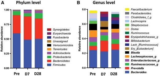 Taxonomic analysis of six patients pre- and post- vancomycin exposure. Pre: pre-vancomycin; D7: 7 days post-vancomycin; D28: 28 days post-vancomycin. (A) Phylum level. (B) Genus level: the 10 most abundant genera in each group are included. The genera shown in bold are among the 10 most abundant in all three groups.