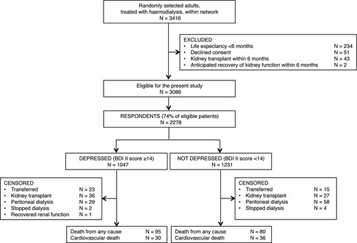 Flow chart showing identification of study participants. BDI II, Beck Depression Inventory II.