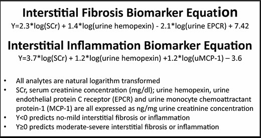 Biomarkers of interstitial injury in LN. These composite biomarkers of interstitial injury were derived using linear discriminant analysis to combine urine and serum analytes into equations that gave the highest sum of sensitivity and specificity for distinguishing between none–mild and moderate–severe interstitial fibrosis and interstitial inflammation.