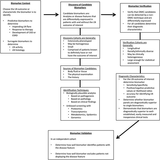 A strategy for biomarker development in LN: from context to validation. The phrase ‘LN biomarker’ is vague. The purpose of a biomarker in managing LN should be precisely defined. Some important unmet needs in the care of patients with LN include how to predict who will flare before they do so and who is likely to respond to therapy or not respond and develop chronic kidney disease (CKD) or end-stage renal disease (ESRD). Disease activity is generally assessed clinically, but clinical impressions do not necessarily reflect histologic activity. Understanding intrarenal histologic activity in a noninvasive way would improve LN management. Biomarkers that predict these outcomes or are surrogates of a kidney biopsy will be of high clinical value. Candidate LN biomarkers are identified in discovery cohorts of LN patients. Such cohorts are generally small but well-characterized clinically. LN outcomes are known for each patient. For example, to identify biomarkers of histologic activity the comparator for potential candidates should be the kidney biopsy. Biomarker candidates can be identified by a variety of techniques. Screening with omic techniques is time efficient. Candidates identified in the discovery phase of biomarker development need to be verified before proceeding with validation. This is especially important for candidates derived using omic techniques. Depending on how large omic data sets are analyzed, candidates found to be significant may not be differentially expressed when measured by an alternate technique specific for that analyte. Alternatively, differentially expressed transcripts may not translate to changes in protein levels, and would not be further developed. It is also important to understand how well the biomarker candidates reflect the clinical outcomes of interest in a cohort that is larger and possibly more diverse than the discovery cohort. By studying a larger cohort, the diagnostic metrics of a biomarker candidate can be determined. This will be important in deciding whether a candidate is superior to existing clinical diagnostics, and thus should be taken forward, and whether a candidate can stand on its own, or would be more robust if part of a composite biomarker (a biomarker panel). Finally, biomarkers need to be validated using independent cohorts by other investigators.