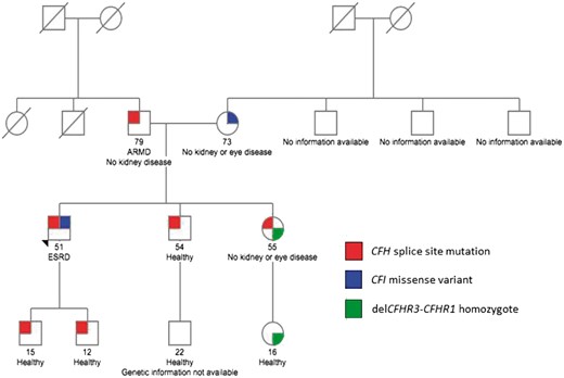 Family pedigree. Note that the proband is the only person to carry both the CFH and CFI genetic variants. Both siblings of the proband were excluded as potential donors because they also had inherited the paternally carried CFH splice site mutation. The deletion of CFHR3-CFHR1 is a common copy number variation in the Caucasian population. Homozygosity for this variation is associated with an increased risk for aHUS due to the development of fH autoantibodies. ARMD, age-related macular degeneration; ESRD, end-stage renal disease.