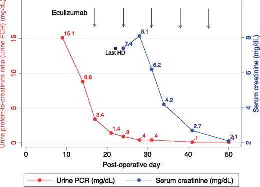 Response to eculizumab therapy. The response to eculizumab therapy (timing of administration shown by the vertical lines) was dramatic and followed quickly by a precipitous decrease in the urine protein-to-creatinine ratio (PCR) and within 3 weeks, a similarly dramatic improvement in serum creatinine. HD, hemodialysis.
