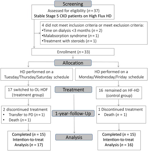 Patient flow throughout the study.