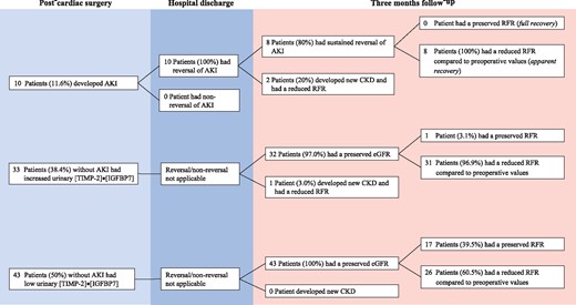Renal outcome after cardiac surgery, stratified by occurrence of AKI and biomarker levels. The figure illustrates the long-term renal outcome in all patients stratified by the occurrence of AKI, increased biomarker levels (in the absence of clinical AKI) and without both criteria.