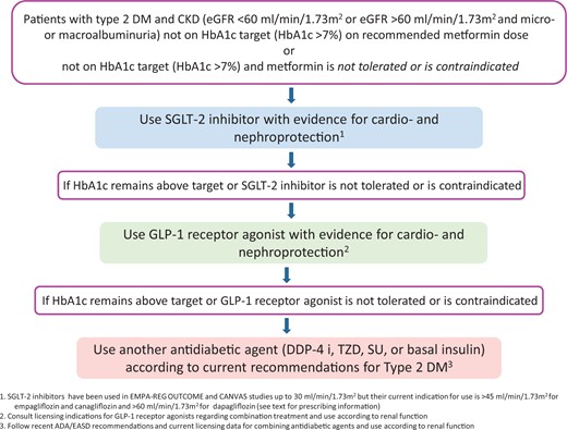Recommendations for SGLT-2 inhibitor and GLP-1 receptor agonist use for patients with type 2 DM and CKD not on HbA1c target after first-step treatment.