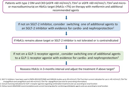 Recommendations for SGLT-2 inhibitor and GLP-1 receptor agonist use for patients with type 2 DM and CKD on HbA1c target after first-step or combination treatment.