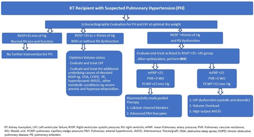 Clinical approach to the kidney allograft recipient with suspected pulmonary hypertension.