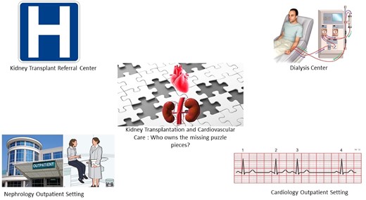 Care fragmentation in patients with cardiovascular disease before and after kidney transplantation.
