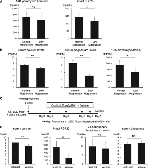 Calcitriol raises FGF23 levels but does not restore the impaired urinary phosphate excretion in the low magnesium diet group. (A) At 1 week after initiation of the high phosphate diet, plasma 1-84 PTH levels and serum intact FGF23 levels were measured using an ELISA. FGF23 levels were significantly reduced after the low magnesium feeding. (B) Serum levels of calcium, magnesium and 1,25-dihydroxyvitamin D were significantly lower in the low magnesium diet group than in the normal magnesium diet group. (C) Mice maintained on the high phosphate/low magnesium diet were injected with calcitriol (30 pg/g body weight) or vehicle on Days 1, 3, 5 and 6. (D) Calcitriol normalized serum calcium levels and markedly raised serum intact FGF23 levels but did not alter urinary phosphate excretion. Data are presented as the mean ± standard deviation. Differences between the two groups were compared using a Student’s t-test. (n = 6–8 in each group; NS, not significant; *P<0.05, **P<0.01).