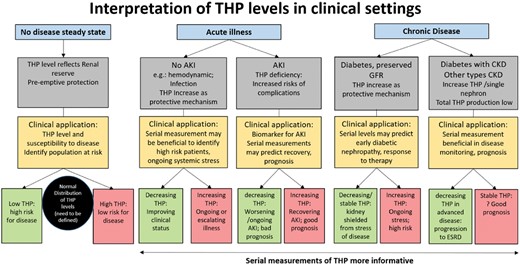 Interpretation of THP levels in clinical settings. THP can be measured either in the blood or in the serum. During acute illness or chronic disease, serial measurements of THP may be more informative than a single measurement. This figure does not account for the presence of minor risk genetic SNP variants in the promoter area of THP, which alter THP expression and have an independent effect on kidney disease risk.