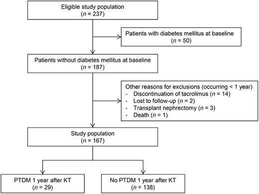 Flowchart of the study population. Of the 237 eligible patients, 50 patients were excluded because of pre-existing diabetes mellitus. Of the remaining 187 patients, 20 additional patients were excluded because of discontinuation of tacrolimus, loss-to-follow-up, transplant nephrectomy or death. This resulted in a total study population of 167 patients, which was further divided into 29 patients with PTDM and 138 participants without PTDM at 1 year after KT.