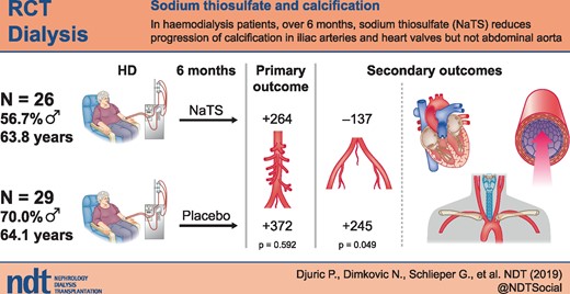 Graphical Abstract