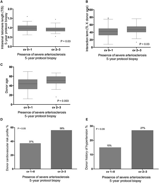 Relation between severe intrarenal arteriosclerosis in the 5-year protocol biopsy and (A) telomere length in the 5-year protocol biopsy, (B) interaction term (telomere length × donor age), (C) donor age, (D) donor history of cardiovascular risk and (E) donor history of hypertension. The P-values represent non-parametric analysis of variance. The horizontal lines within the boxes indicate means, the upper and lower ends of the boxes indicate standard deviations, and the whiskers indicate 95th percentiles. Severe arteriosclerosis was defined as Banff cv score of 2–3.