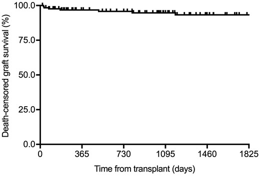 Kaplan–Meier curve for death-censored graft survival after excluding patients that developed PNF (n = 127).