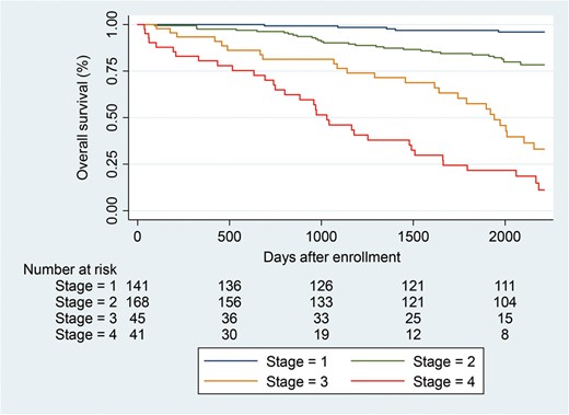 Kaplan–Meier survival curve of patients receiving hemodialysis at each prognostic stage. Table below the graph indicates the number of at-risk patients at each prognostic stage. Blue line, stage 1; green line, stage 2; yellow line, stage 3; red line, stage 4.