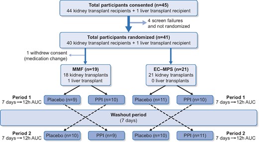 The CONSORT flow diagram and trial design of the ‘IMPACT’ trial. Of 40 recipients who were randomized and had completed the trial, 19 were maintained on MMF and 21 were maintained on EC-MPS (Myfortic®). Recipients were randomized to the study medication (i.e. placebo or PPI 40 mg of pantoprazole daily) for 7 days, followed by a wash-out period of 7 days and then the alternative study medication for 7 days. Two 12-h pharmacokinetic profiles were undertaken at the completion of each study medication.