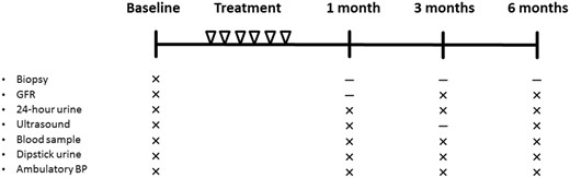 Overview of treatments and investigations. The patients were treated with LI-SWT six times during a 3-week period. Investigations were performed at baseline and at 1, 3 and 6 months follow-up.