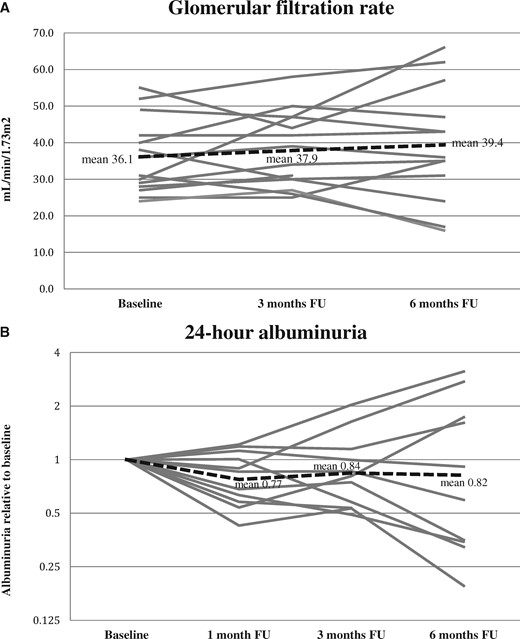 Individual curves of GFR. (A) GFR is presented with slopes for each patient at baseline, 3 and 6 months follow-up. Dashed line represents mean slope. (B) Individual slopes for albuminuria at 1, 3 and 6 months follow-up. Values were calculated as ratios between follow-up and baseline (values <1 indicate decreasing albuminuria). Dashed line represents mean slope.