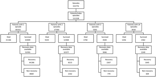 Flow diagram of cohort creation, with exclusion and inclusion criteria.