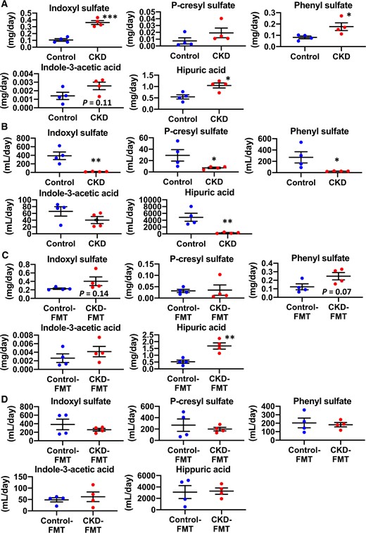 Urinary excretion and renal clearance of uremic solutes in CKD mice and CKD-FMT mice. The 24-h (A) urinary excretion and (B) renal clearance of the following uremic solutes: IS, PCS, PhS, IAA and HA in control mice (blue dots) and CKD mice (red dots) (n = 4 per group). The 24-h (C) urinary excretion and (D) renal clearance of uremic solutes in control-FMT mice (blue dots) and CKD-FMT mice (red dots) (n = 4 per group). *P < 0.05, **P < 0.01, ***P < 0.001 versus control mice or control-FMT group. Bar represents mean ± standard error of the mean.