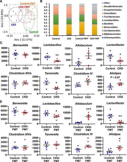 Comparison of the gut microbiota composition between control and adenine-induced CKD mice as well as between control-FMT and CKD-FMT mice. (A) Two-dimensional PCoA of weight Unifrac distance. (B) Relative abundance of microbiota on the basis of the average number of each microbe at the order level. The change in read count of each taxon at the genus level between (C) control and CKD mice (blue and red dots, respectively) or (D) control-FMT and CKD-FMT mice (blue and red dots, respectively). The major genera comprising the largest proportion in these four groups are shown. The y-axis indicates the read count of each microbe. *P < 0.05, **P < 0.01, ***P < 0.001 versus control mice or control-FMT mice. Bar represents mean ± standard error of the mean.