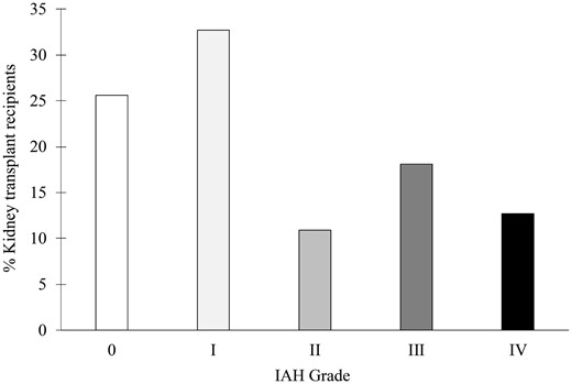 IAH incidence after kidney transplantation. IAH grade is defined by sustained (>24 h) elevation of IVP between 12 and 15 mmHg (Grade I), 16–19 mmHg (Grade II), 20–24 mmHg (Grade III) or >25 mmHg (Grade IV). For each patient, IAH grade was defined as the maximal grade exhibited during the entire study period.