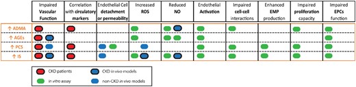 Summary of the impact of different uraemic toxins in high concentrations. Effects of the uraemic toxins ADMA, AGEs, PCS and IS in endothelial function, circulatory markers, structural changes in the vascular endothelium and in the endothelial repair capacity are highlighted as follows: patients (red), in vivo animal models (blue) and cell-based assays (green). Dark circles indicate that the study was performed in a CKD setting while no circle shows studies performed by the addition of exogenous uraemic toxin.