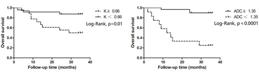 Kaplan-Meyer renal survival curve after 36 months follow-up based on DKI metrics.