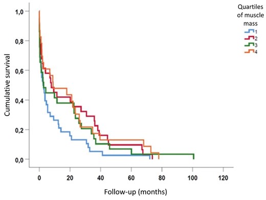 Cumulative survival of ESKD patients on hemodialysis divided by quartiles of muscle mass.