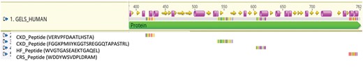 Figure: Specific peptides are associated with distinct pathologies. As example, peptides significantly associated with CKD, HR, or CRS derived from Gelsolin are depicted. The data indicate potential activation of distinct proteases specific for the different pathologies.