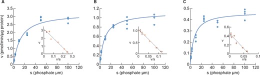Changes in phosphate uptake by rat intestinal BBMVs with age (A) 4 weeks old, (B) 9 weeks old and (C) 15 weeks old. Dots represent the actual values and the Michaelis–Menten curve was generated using JMP 11.2.1. Inset shows an Eadie–Hofstee plot of the uptake. Each point in the inset represents the mean of three measurement points.