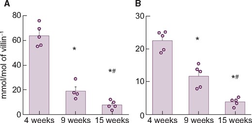 Changes in NaPi-IIb (A) mRNA or (B) protein expression level in rat upper intestine with age. Values are normalized by villin-1 protein or mRNA, respectively. The actual values are represented as dots and the columns represent mean ± SE. *P < 0.05, significant difference versus 4 weeks old; #P < 0.05, significant difference versus 9 weeks old (Tukey–Kramer test).