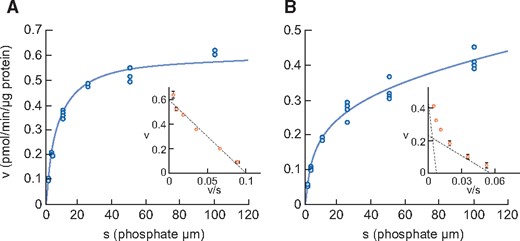 Phosphate uptake by intestinal BBMVs in (A) normal rats and (B) adenine-induced CKD rats. Dots represent the actual values and the Michaelis–Menten curve was generated using JMP 11.2.1. Inset shows an Eadie–Hofstee plot of the uptake. Each point represents the mean of three measurement points. Normal, normal rats; CKD, adenine-induced CKD rats.