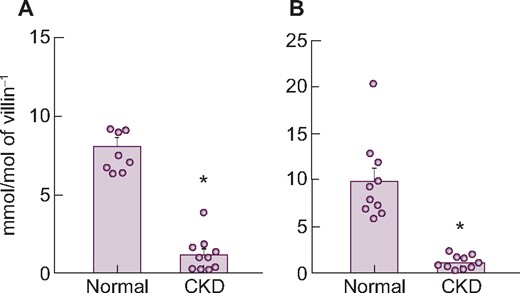 Changes in NaPi-IIb (A) mRNA and (B) protein expression levels in the upper intestine of rats with adenine-induced CKD. Values are normalized by villin-1 protein and mRNA, respectively. The actual values are represented as dots and the columns represent mean + SE. *P < 0.05, significant difference versus normal (Student’s t-test). Normal, normal rats; CKD, adenine-induced CKD rats.