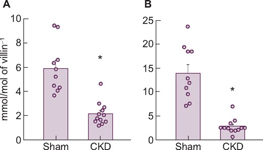 Changes in NaPi-IIb (A) mRNA and (B) protein expression levels in the upper intestine of rats with anti-Thy1 CKD. Values are normalized by villin-1 protein and mRNA, respectively. The actual values are represented as dots and the columns represent mean + SE. *P < 0.05, significant difference versus sham (Student’s t-test). Sham, sham-operated rats; CKD, anti-Thy1 CKD rats.
