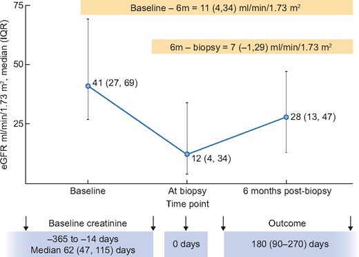 eGFR at various time-points around AIN diagnosis. Baseline eGFR was obtained 62 (47–115) days before biopsy. At biopsy eGFR is based on last measured creatinine before biopsy and after biopsy eGFR is calculated from serum creatinine 3–6 months after biopsy or imputed as last known eGFR in those who died or as 5 ml/min for those who were on dialysis.