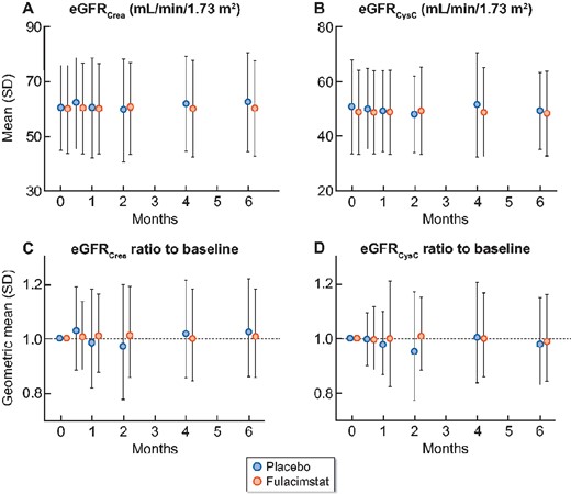 Time course of eGFR and eGFR ratio to baseline (PPS). (A and B) eGFR values from Visit 1 (0 months), to Visit 2 (0.5 months), Visit 3 (1 months), Visit 4 (2 months), Visit 5 (4 months) and to Visit 6 (6 months) are depicted as arithmetic means (SD) using (A) the creatinine-based eGFR (eGFRCrea) and (B) the cystatin C-based eGFR (eGFRCysC). (C and D) The ratios of eGFR to baseline are shown as geometric means (geometric SD) for (C) eGFRCrea and (D) eGFRCysC. Placebo (blue symbols), fulacimstat (orange symbols).