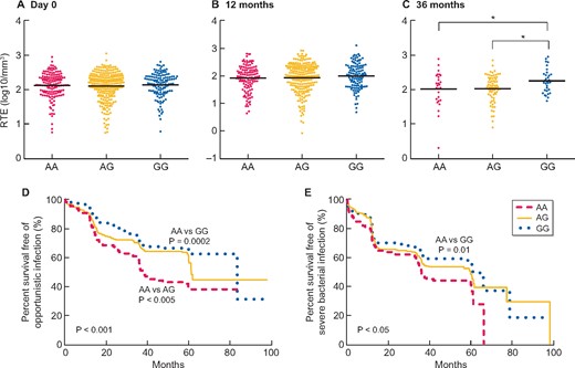 Evaluation of the number of CD4+ RTEs regarding the allele polymorphism (A) the day of transplantation and (B) 12 months and (C) 36 months after transplantation. Survival curves of (D) opportunistic infections and (E) severe bacterial infections according to the allelic polymorphism. Comparisons of RTE counts between two groups were assessed with unpaired t-tests. Horizontal lines represent the mean RTE count per group. *P < 0.05. Log-rank tests were used for survival curves. Significance was taken at the 5% level.