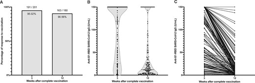 (A) Proportion of seropositive (i.e. anti-S1-RBD IgG >1 U/mL) patients 3 and 12 weeks after completing vaccination with either mRNA-1273 or BNT162b2. (B) Violin plot of anti-S1-RBD IgG levels in the population at 3 and 12 weeks post-vaccination. (C) Variation of anti-S1-RBD IgG in every individual from anti-S1-RBD IgG measurement at 3 and 12 weeks post-vaccination.