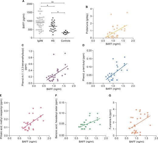 Serum BAFF levels were higher in IgAN patients and correlated with proteinuria and faecal metabolites. (A) Serum BAFF levels were determined by ELISA in 44 IgAN patients, 23 HSs and 8 controls. BAFF levels were significantly higher in IgAN patients with respect to HSs (P = 0.012) and non-IgA glomerulonephritis patients (controls; P < 0.0001). Serum BAFF levels in 30 IgAN patients correlated with (B) proteinuria (P < 0.001) and with different faecal metabolites: (C) 4-(1,1,3,3-tetramethylbutyl) phenol (P = 0.0027), (D) p-tert-butyl-phenol (P = 0.0003), (E) methyl neopentyl phthalic acid (P = 0.0007), (F) hexadecyl ester benzoic acid (P = 0.003) and (G) furanone A (0.024) in IgAN patients (Spearman’s correlation). *P ≤ 0.05, **P ≤ 0.005.