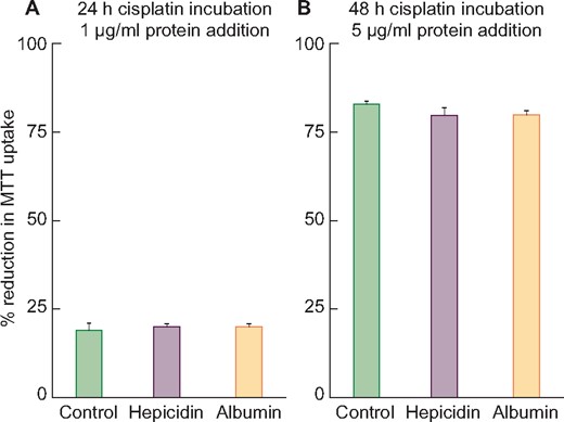 Treatment of HK-2 cells with 15 μM cisplatin with or without human hepcidin addition. (A) After a 24-h incubation, cisplatin induced ∼20% cell death (reductions in MTT uptake) irrespective of the presence or absence of 1 μg/mL hepcidin or albumin (albumin used as a nonspecific protein control). (B) After a 48-h incubation, cisplatin caused ∼80% MTT reductions irrespective of the addition of 5 μg/mL of hepcidin or albumin. Thus no evidence of hepcidin-mediated in vitro protection was observed with either mild or severe cisplatin toxicity.