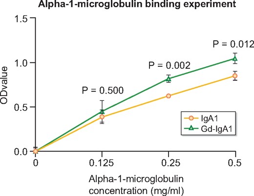 α1-microglobulin was prone to binding to Gd-IgA1. α1-microglobulin bound with both IgA1-sepharose and Gd-IgA1-sepharose in a dose-dependent manner. Compared with IgA1-sepharose, GalNAc-enriched Gd-IgA1-sepharose presented a significantly higher binding capacity with α1-microglobulin (α1-microglobulin = 0.5 mg/mL: 1.05 ± 0.06 versus 0.85 ± 0.05, P = 0.012; α1-microglobulin = 0.25 mg/mL: 0.82 ± 0.04 versus 0.63 ± 0.02, P = 0.002).