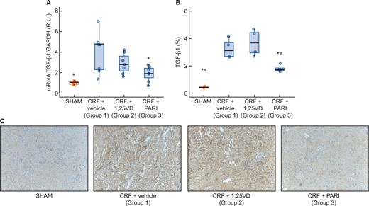 TGF-β gene expression evaluated by qPCR and immunohistochemitry. SHAM-operated (SHAM); CRF rats + vehicle (CRF + vehicle, Group 1), CRF rats + calcitriol (CRF + 1,25VD, Group 2), CRF rats + paricalcitol (CRF + PARI, Group 3). (A) TGF-β mRNA. (B) TGF-β immunohistochemistry. (C) Representative photo of TGF-β immunohistochemistry 10×. Data represent median and interquartile range. *P < 0.05 versus CRF + vehicle; #P < 0.001 versus CRF + 1,25VD.