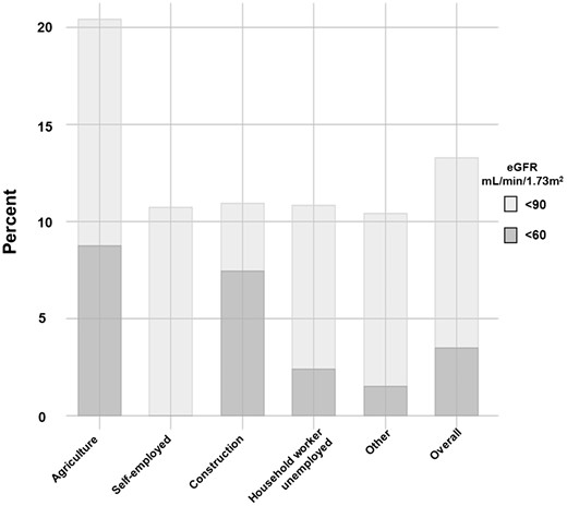 Age- and sex-adjusted prevalence of eGFR <90 and <60 mL/min/1.73 m2, by occupation. The figure shows the age- and sex-adjusted prevalence of decreased estimated eGFR at specific cut-off points stratified by varied self-reported occupation categories. The overall category shows the estimated prevalence in the population, irrespective of occupation. The corresponding point estimates for eGFR <90 and <60 mL/min/1.73 m2 are, respectively, 20.4% and 8.8% for agriculture, 10.8% and 0.0% for self-employed, 10.9% and 7.5% for construction, 10.9% and 2.4% for homemaker and 10.4% and 1.6% for other. The overall estimates are 13.3% and 3.5%. The eGFR was estimated using Chronic Kidney Disease Epidemiology Collaboration formula and derived from SCr.