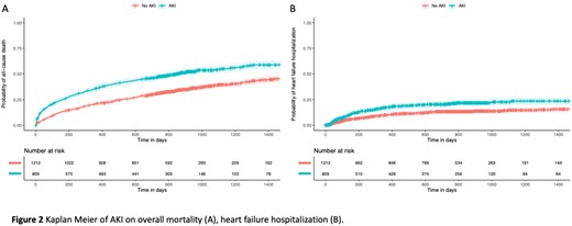 The in-hospital mortality rate across acute kidney injury (AKI) stages by age (A), gender (B), and diabetes mellitus (C)