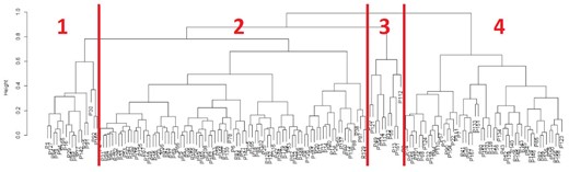 Classification tree (dendrogram) of patients with clusters